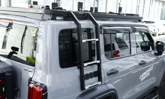 Tank 300 500 SUV Accessoires 4x4 Offroad Side Ladder Dak Side Ladder voor 2020-jaar